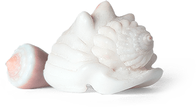 Изображение - arasan-seashells