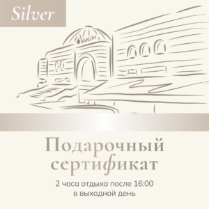 silver 1 Изображение - silver 1